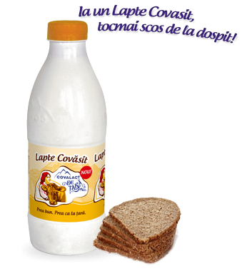 Baked Milk