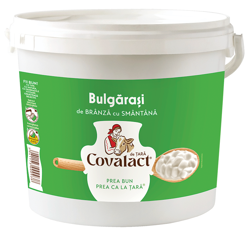Bulgărași de Brânză cu Smântână (Cottage Cheese) 2